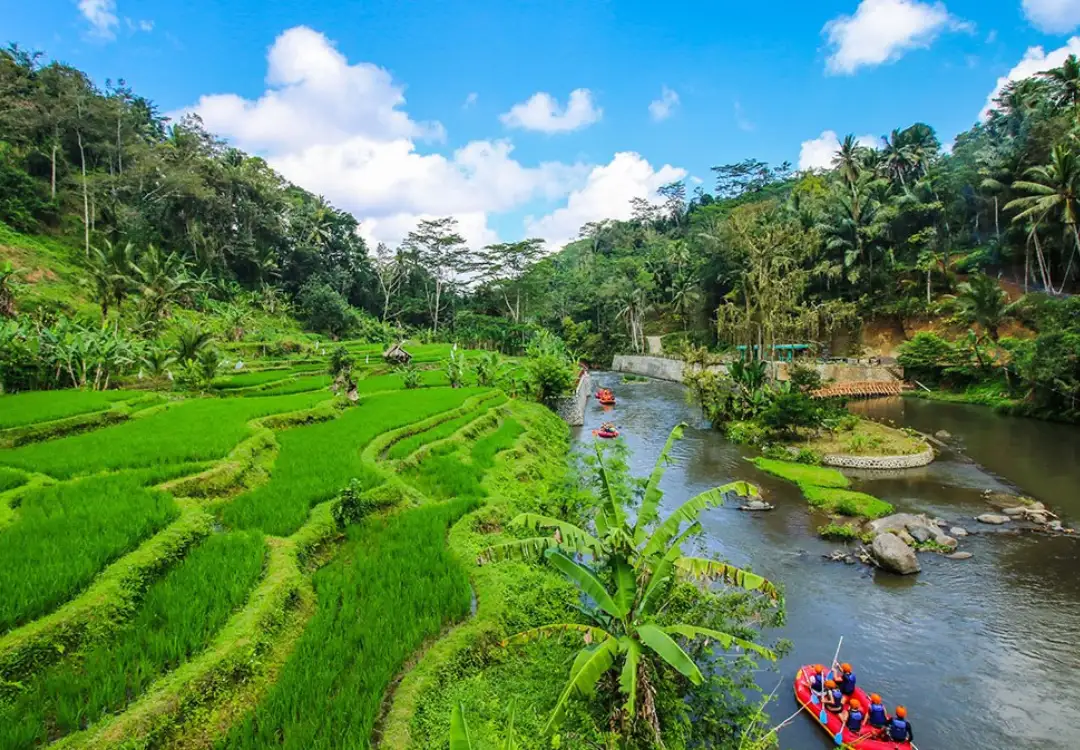 Two Weeks of Modern Wonders and Ancient Rainforests